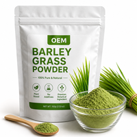 Poudre d'herbe d'orge pure, concentré de jus d'orge en poudre, ingrédient Super Greens de qualité alimentaire, vente en gros et approvisionnement en vrac
