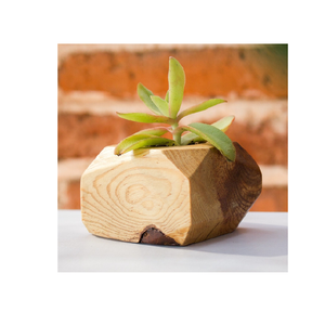 Tableware Wood Planter Pot Desktop Planter Stand Indoor Acacia <b>Wooden</b> <b>Plant</b> Pot Custom logo at Cheap Price - Product Image 6