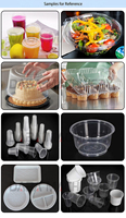 DB-750 Machine de thermoformage jetable pour petits verres en PP, PET, PVC et prix au Pakistan pour les verres