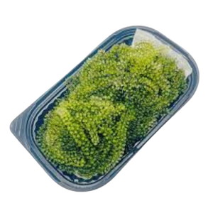 CAVIAR VERT DÉSHYDRATÉ RAISIN ALGUES DE HAUTE QUALITÉ DU VIETNAM - Product Image 5