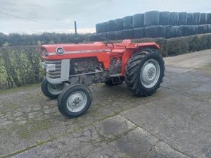 MASSEY FERGUSON 135 165 175 185 188 240 275 290 385 399 TRACTOR NUEVO Usado 50hp 60hp 70hp 80hp 85hp Equipo agrícola rojo - Product Image 5