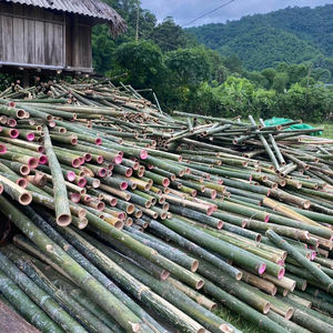 ไม้ไผ่ที่มีคุณภาพสูงในอัตราการขายส่งธรรมชาติและทนทานสำหรับการตกแต่ง - Product Image 5