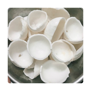 Viande de noix de coco du Vietnam congelée, fraîche, saine et en vrac | Prêt pour les smoothies et la cuisson - Product Image 3