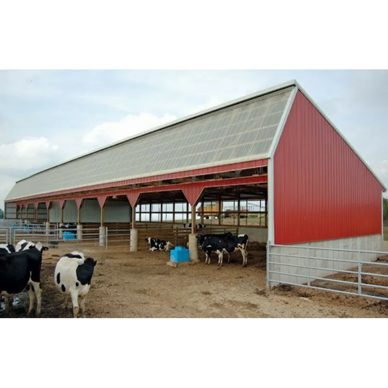 Hangar de ferme laitière pour bovins vivants 1000 pieds carrés Hangar pour animaux de 10000 pieds carrés au prix de gros