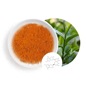 Excellent Quality Organic 40% Theaflavin Instant Black Tea Extract Powder Designed to Bolster Immune Health and Wellness