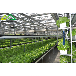 Commercieel hydroponisch systeem & kaskit voor de teelt van groenten en bloemen met een hoge opbrengst - Product Image 4