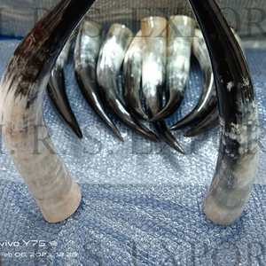 Cuerno para Beber Vikingo de Buey, Auténtico Cuerno para Beber Medieval de Vaca y Búfalo, Estilo Vikingo a Precios Asequibles - Product Image 5