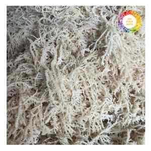 Algas marinas de algodón de Vietnam tipo Eucheuma, seamoss naturales para exportación a granel, ideales para procesamiento de alimentos orgánicos y uso industrial - Product Image 6