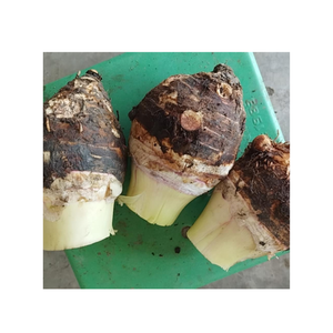 Délicieuse racine d'igname violette de haute qualité fournisseur de gros d'igname violette biologique fraîche sans OGM exportation en vrac Vietnam - Product Image 4