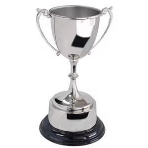 Coupe de trophée de cricket en métal de luxe, prix de championnat, objet de décoration, cadeau - Product Image 5