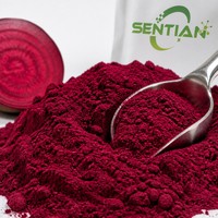 Poudre de jus de betterave, extrait naturel de betterave rouge, qualité alimentaire, extrait végétal pour boissons, pâtisserie et colorant alimentaire