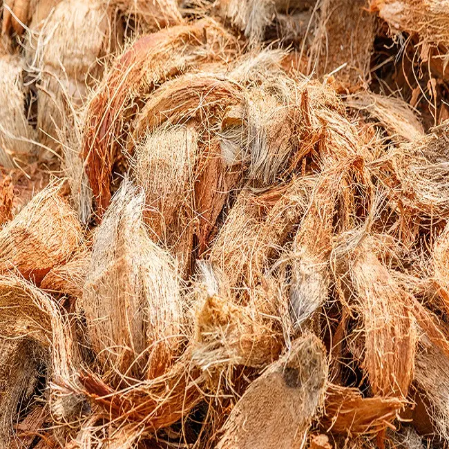 Meilleures ventes 2022 exportation de fibres de noix de Coco fabricants fournisseurs grossistes exportation