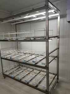 Estante de cultivo de tejidos comercial Estante de crecimiento de plantas de varios niveles de alta resistencia con iluminación LED y bandejas ajustables - Product Image 5