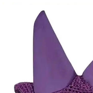 Prix de gros Personnaliser la conception Voile anti-mouches pour chevaux de haute qualité Bonnet d'oreille Équipement d'équitation Fournisseur OEM Prix de gros - Product Image 5