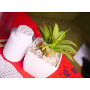 Top vente doublure d'étanchéité sensible à la pression Non-fuite PS mousse adhésive Non-déversement bouchon de bouteille de qualité pharmaceutique pour Induction - Product Image 4