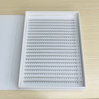 Cils Promade ELFA Fans, faits à la main, naturels, doux, personnalisés, en PBT coréen, boîtes personnalisées, couleur personnalisée, cils longs et épais, emballage CC