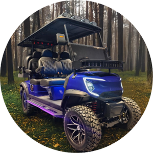 Transport City Petite télécommande 3500W Unique Luxury 6 Seater Mini voiturette de golf électrique - Product Image 6