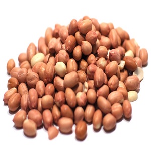 Vente en gros de cacahuètes à peau rouge, en-cas sain, grains de cacahuètes pelés riches en protéines, noix en vrac - Product Image 4