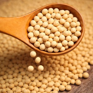 ถั่วเหลืองถั่วเหลืองสีเหลืองมาตรฐานสากล - Product Image 2