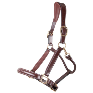 Bridons et licols pour chevaux de haute qualité professionnels pour l'équitation en plein air, personnalisation acceptée, durables, SURGIGYNE International - Product Image 4