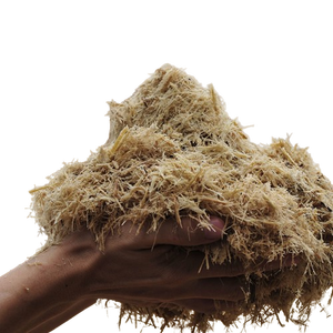 ชานอ้อยส่งออก - Product Image 5