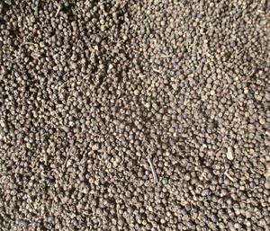 Pimienta negra de Vietnam, grado natural, calidad superior, embalaje a granel, Exportación estándar, suministro mayorista de especias - Product Image 2