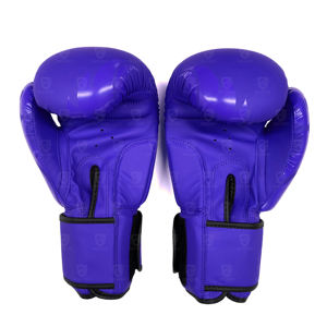 Gants de boxe professionnels en gros 14oz de haute qualité, gants de boxe d'entraînement sportifs colorés - Product Image 3