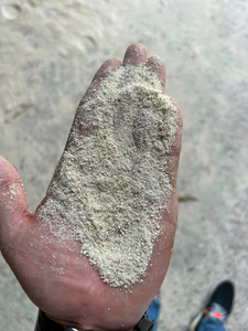 Mejor Polvo de Bagazo de Caña de Azúcar / Biomasa / Material Industrial / Bagazo de Caña de Azúcar Fermentado para Alimento de Ganado / Liam+84865912655 - Product Image 2