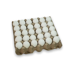 Huevos de granja a precio económico, huevos de mesa de alta calidad, suministro al por mayor de calidad de exportación - Product Image 4