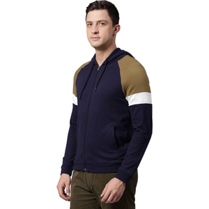 2025 nouveau gros hommes 100% coton pull à capuche de haute qualité et grande taille personnalisé teint uni pour l'impression numérique d'hiver - Product Image 4