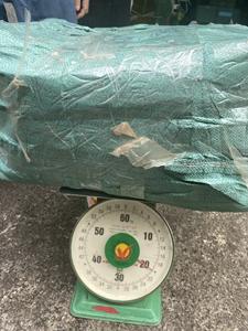 Obanderole séchées séchées de 100g, onyx Murex, peroxyde, pour parfum, Triton, 15,6g, du Vietnam - Product Image 5