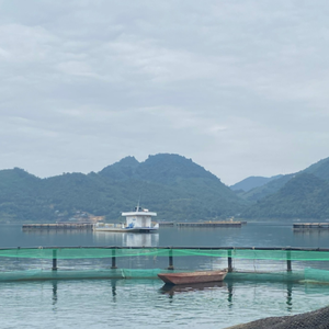 Top vente flottant pisciculture cage HDPE piège d'aquaculture par fabricant vietnamien - Product Image 2