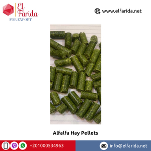 Excellente qualité très vendu en vrac export égyptien granulés de foin de luzerne pour alimentation animale pour les acheteurs en gros - Product Image 2