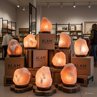 Lampe de sel de l'Himalaya naturelle certifiée GMP, 2-3 kg, écologique, faite à la main, avec cordon électrique, ampoule en forme de fleur, Feng Shui, animal, ange, décoration intérieure