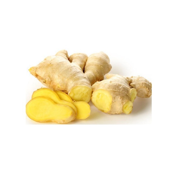 Fresh Ginger New Crop Fresh Ginger Belgium Fresh Ginger
