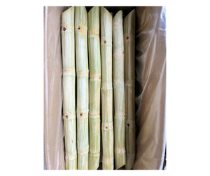 Vietnam Frozen Sugarcane Sticks Ready For Export Markets - Fresh <b>Sweet</b> Frozen Sugarcane Sticks For Juicing & Retail - Product Image 1