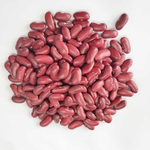 Haricots blancs Haricots noirs de haute qualité pour l'exportation disponibles dans un emballage en vrac - Product Image 1