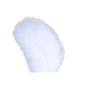 Plumes d'autruche abordables à vendre, parfaites pour l'artisanat, la mode et la décoration intérieure, qualité supérieure à bas prix - Product Image 3