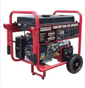 Générateur portable à double carburant gaz/propane de 10 000 W avec démarrage électrique - Product Image 1