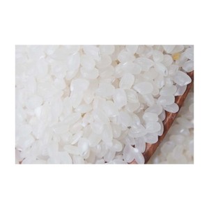 Precio económico 100% Arroz partido para exportación global y compradores industriales a gran escala - Product Image 1