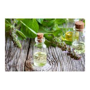 Fourniture en vrac d'huile essentielle douce de basilic pur à 100% - Product Image 1