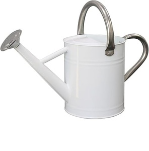 Arrosoir décoratif en métal pour plantes Mini bouilloire pour le jardinage intérieur Compact et Pot pour la décoration de bureau à domicile - Product Image 6