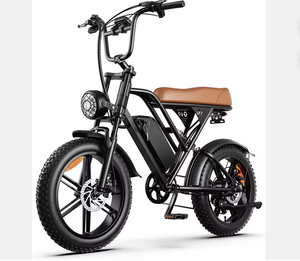 *Empacada y lista para usar* Bicicleta eléctrica de ciudad y montaña E-Ride Pro Eco - Product Image 1