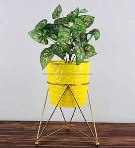 Pots de fleurs en fer au design luxueux pour la décoration du salon et de la chambre à coucher de l'Inde Exhort - Product Image 2