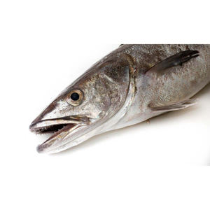 Poisson de merlu frais et congelé bon marché à vendre - Product Image 1