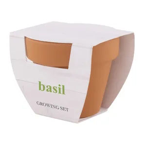 Pot à fleurs personnalisé en terre cuite avec graines, gadgets personnalisés pour pots et jardinières - Product Image 2