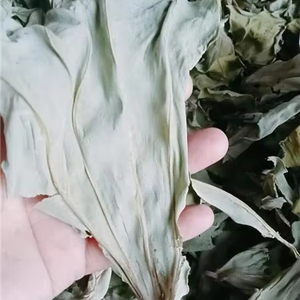 Hojas de Taro Secas de Vietnam, Grado Alimenticio y Suministro al por Mayor, 114 g, 3.5 oz, Calidad Premium ANGLE - Product Image 1