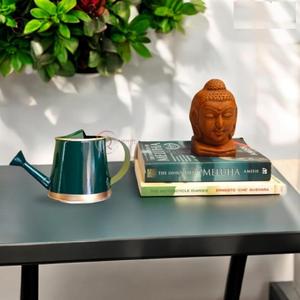 Bidon d'eau en métal décoratif décor à la maison articles de jardin couleur verte enduit de poudre peint à la main plante verte arrosoir fournitures - Product Image 6