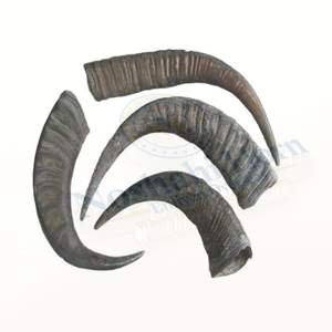 Long Lasting Buffalo Horn Chew Encourages Positive Behavior & Reduces Destructive Chewing - Product Image 2