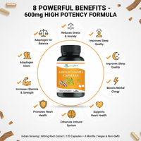 Capsules d'Ashwagandha Pures OEM/ODM - Supplément Herbal en Gros pour le Soutien du Cortisol, Soulagement du Stress et Équilibre Hormonal pour Adultes